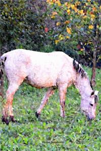 Horse Notebook