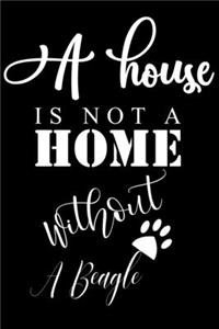 A House is not a home without a Beagle
