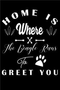 Home is where the Beagle to Greet you