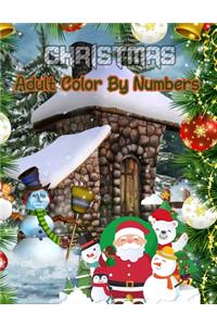 Christmas Adult Color By Numbers