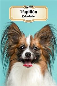 2020 Papillón Calendario