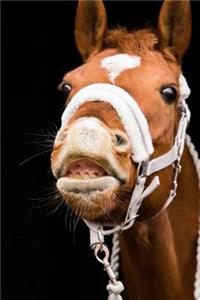 Horse Notebook