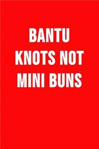 Bantu Knots Not Mini Buns