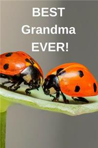 Best Grandma Ever!