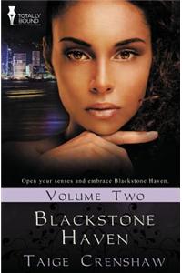 Blackstone Haven: Vol 2