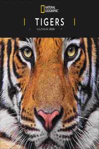 TIGERS NAT GEO W 2020