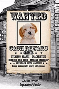 Tibetan Terrier Dog Wanted Poster