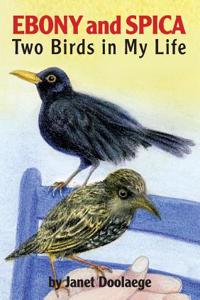 Ebony and Spica: Two Birds in My Life