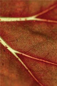 Autumn Leaf Veins Any Day Planner Notebook