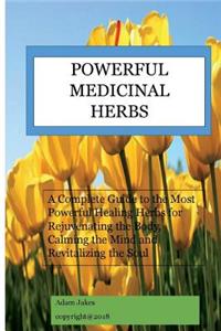 Powerful Medicinal Herbs