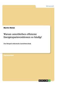 Warum unterbleiben effiziente Energiesparinvestitionen so häufig?