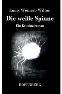 weiße Spinne