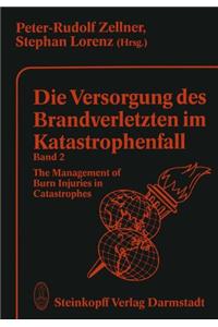 DIE VERSORGUNG DES BRANDVERLETZTEN IM K