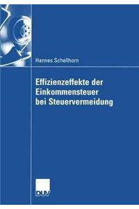 Effizienzeffekte der Einkommensteuer bei Steuervermeidung