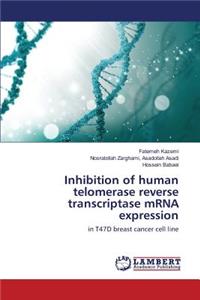 Telomerase and cancer therapy with nanoparticles