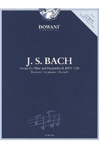 Sonata for Flute and Harpsichord in B Minor, Bwv 1030