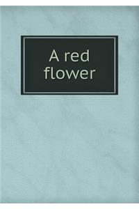 A Red Flower