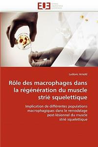 R�le Des Macrophages Dans La R�g�n�ration Du Muscle Stri� Squelettique