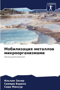 Мобилизация металлов микроорганизмами
