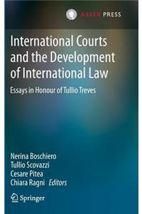 International Courts and the Development of International Law