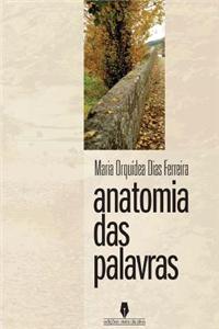 Anatomia Das Palavras