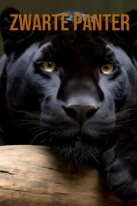 Zwarte Panter