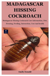 Madagascar Hissing Cockroach