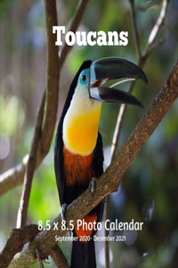 Toucans 8.5 X 8.5 Calendar September 2020 -December 2021