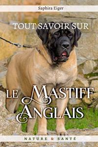 Tout Savoir sur le Mastiff