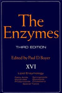 The Enzymes