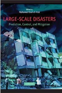 Large-Scale Disasters