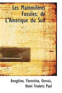 Les Mammif Res Fossiles