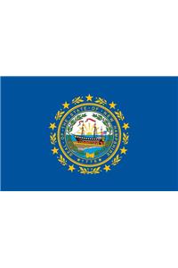 New Hampshire Flag Poster