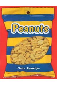 Rigby Literacy: Student Reader Grade 1 (Level 8) Peanuts