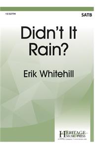Didn't It Rain?