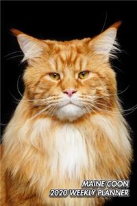 Maine Coon 2020 Weekly Planner