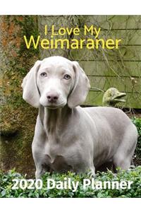 I Love My Weimaraner