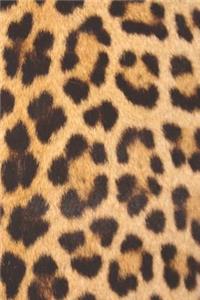 Leopard Print Journal