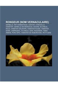 Rongeur (Nom Vernaculaire): Gerbille, Rat Domestique, Castor, Chinchilla, Hamster, Gerbille de Mongolie, Souris, Ecureuil Roux