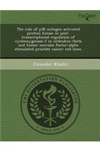 The Role of P38 Mitogen Activated Protein Kinase in Post-Transcriptional Regulation of Cyclooxygenase-2 in Intleukin-1beta and Tumor Necrosis Factor-A