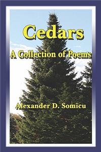 Cedars