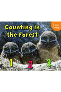 Counting in the Forest