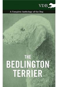 Bedlington Terrier - A Complete Anthology of the Dog -