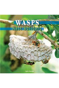 Wasps