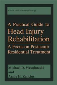 Practical Guide to Head Injury Rehabilitation