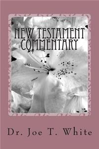 New Testament Commentary Volume Six