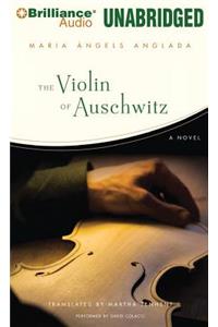 Violin of Auschwitz