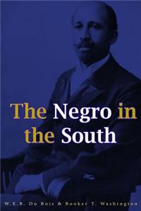 The Negro in the South