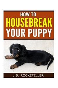 How to Housebreak Your Puppy