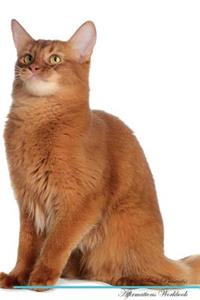 Somali Cat Affirmations Workbook Somali Cat Presents